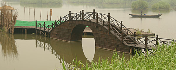 常熟沙家浜旅游全攻略 門票、開放時間與深度游指南