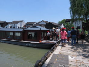 蘆葦蕩里憶崢嶸，水鄉澤國覓野趣——沙家浜濕地公園紀行