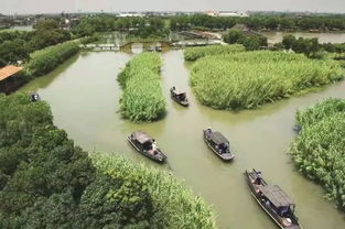 烽火蘆蕩，青春定向 2019首屆華僑城杯沙家浜紅色定向賽邀您啟程